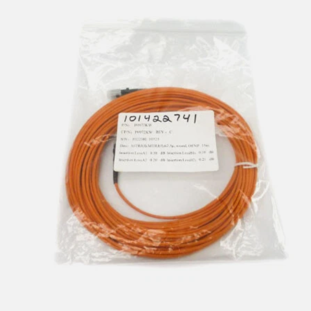 P0972KW 冗余控制器模块 FOXBORO 原装进口 一年质保 未拆封 库存充足 